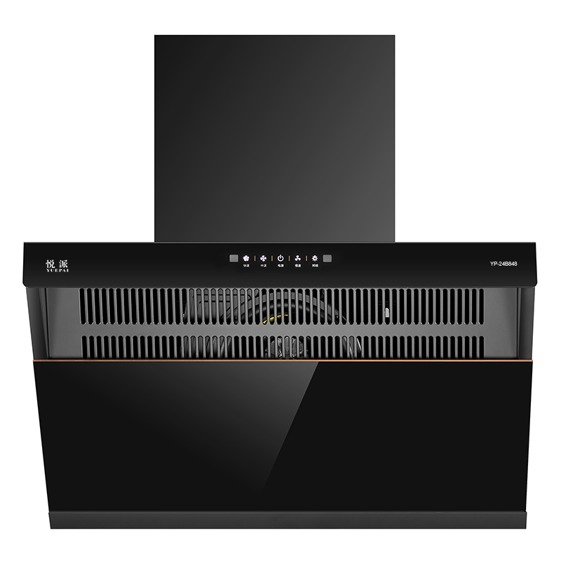YP-24B848
